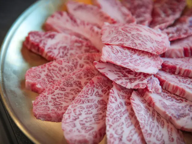 Dongbaekhanu 写真 2