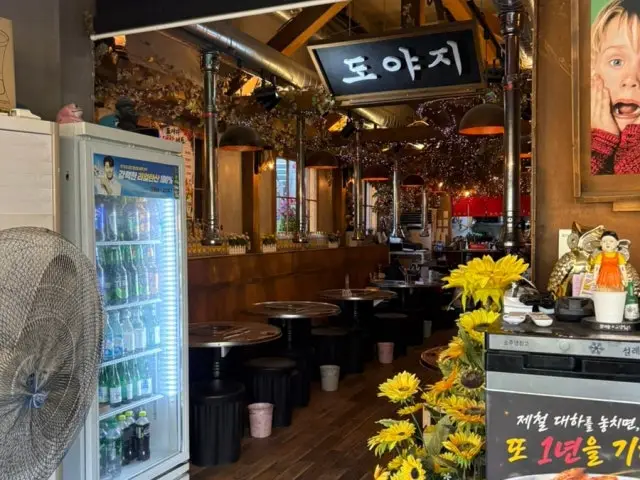 도야지 사진 3