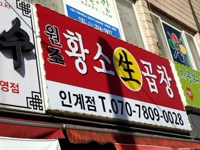 Wonjo Hwangsosaenggopchang Ingye Branch Gopchang (Grilled Intestines) 1