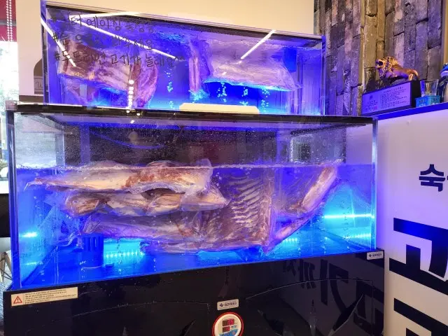 Gogidamda 照片 3