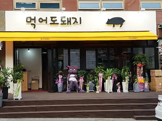 먹어도돼지 사진