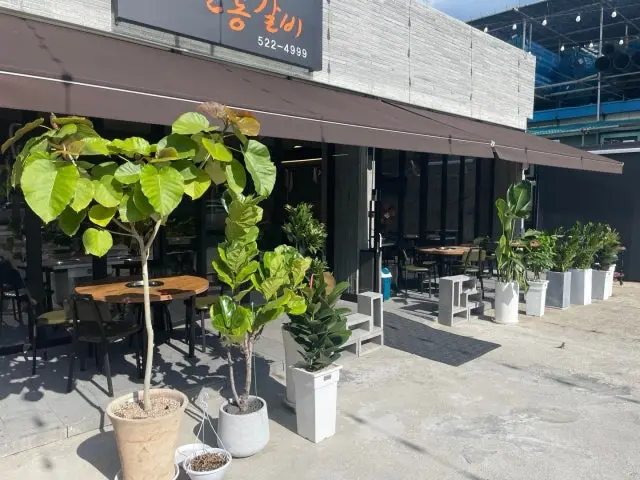 Andonggalbi Solo-Friendly Korean BBQ 2