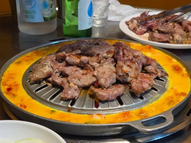 수유진미갈매기 사진 3