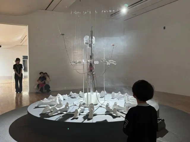 Baebureundwaeji 平價烤肉 2
