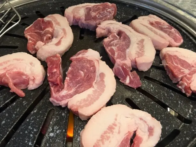 Dwitgogimeokja 聚餐烤肉 3