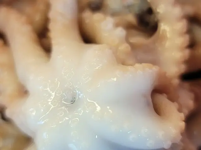 Hanujeong 約會烤肉 2