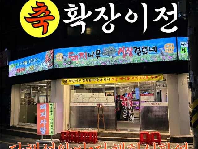 Dwaejinamu Saranggeolryeotne Seomyeon Main Branch Samgyeopsal (Pork Belly BBQ) 1