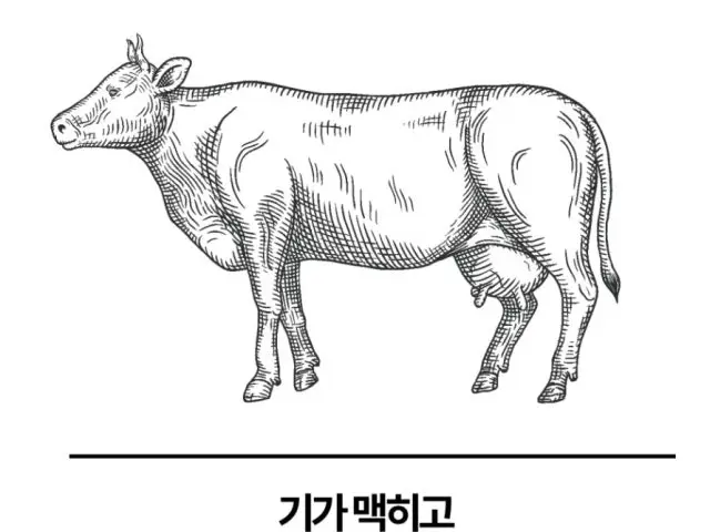 Hanujijon 写真 3