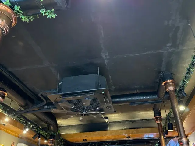 서울꽃삼 발산본점 소고기·한우 사진 3