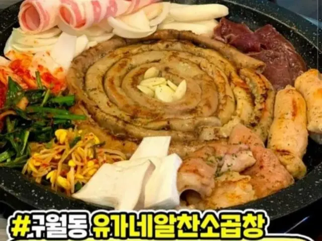 Yuganealchansogopchang 写真 1