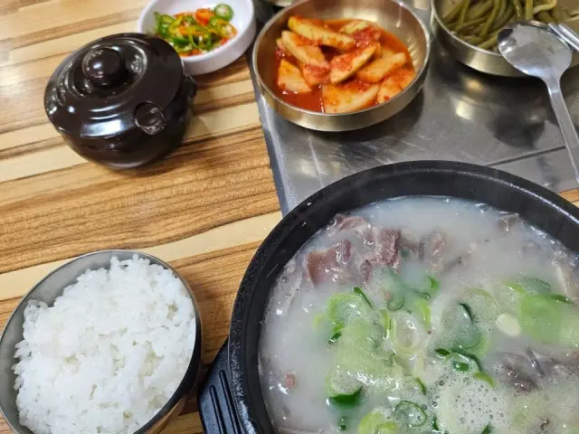 Yangji 写真 3