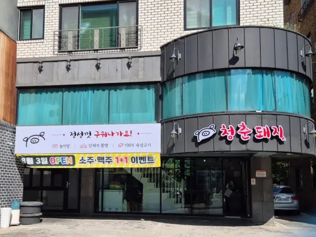 청춘돼지 사진 1