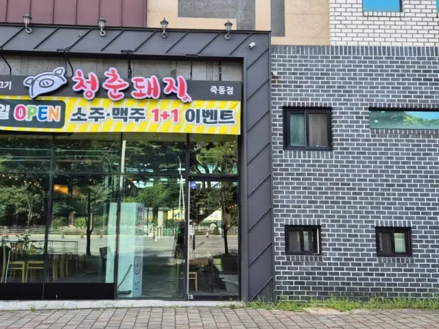 청춘돼지 사진 2