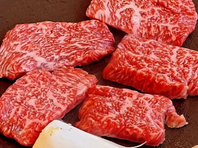 Jeongjikhanu Jeongyuksikdang Hanwoo (Korean Beef) 1