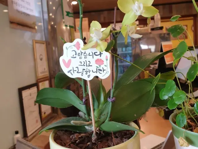 Jeongseonggalbi 照片 2