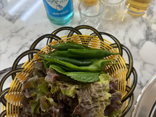 Gayachuksansutbulsaenggogi 写真 3