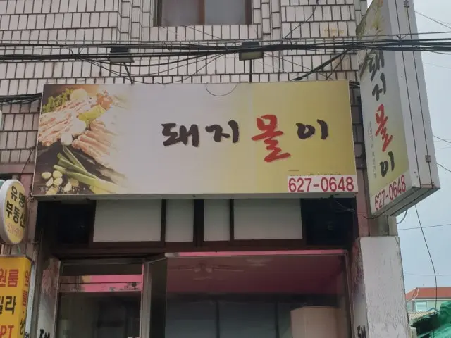 돼지몰이 사진 1