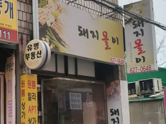 돼지몰이 사진 2