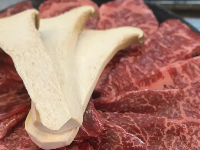 Beodeunaehanusutbulgui 一人焼肉 3