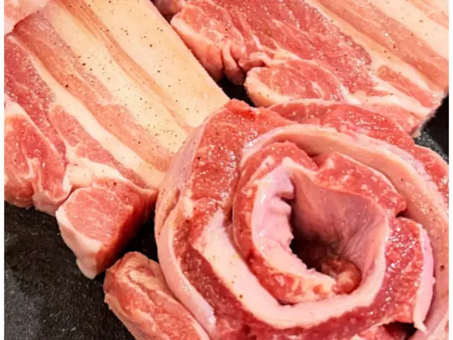 Peulreoseugogi Samgyeopsal (Pork Belly BBQ) 3