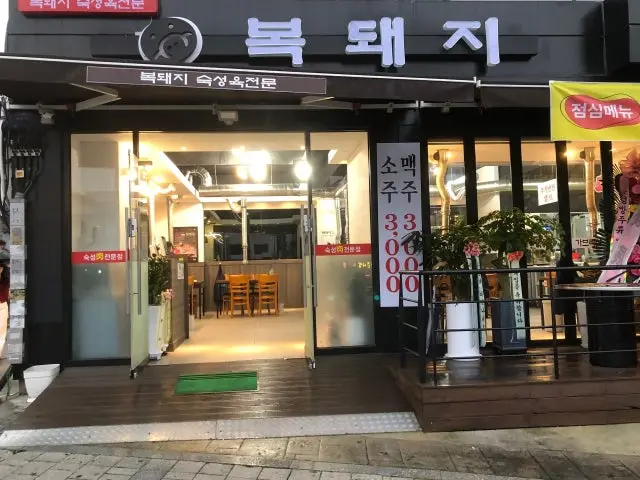 복돼지 사진 1
