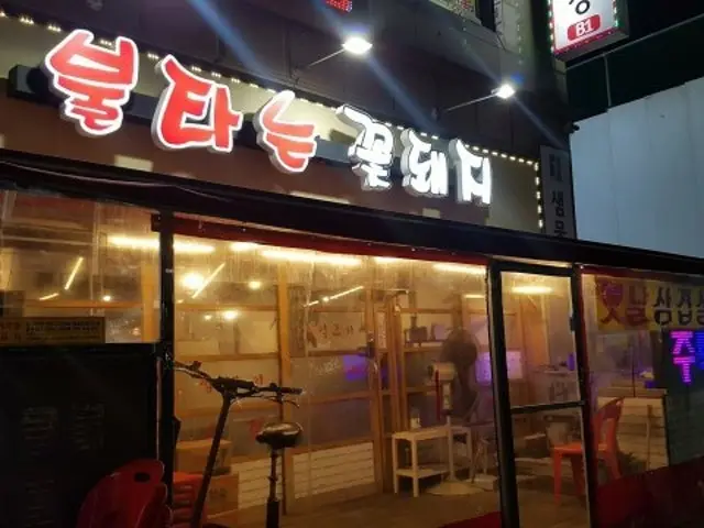불타는꽃돼지 사진 1