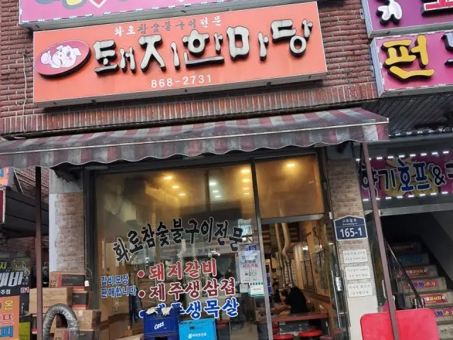 돼지한마당 사진 2