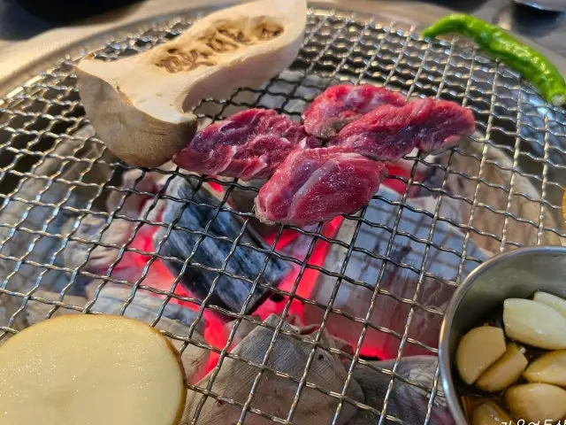 짝이야 사진 3