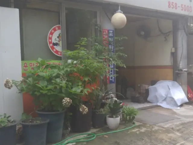흥부네돈돼지 사진 1