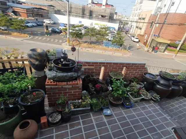 Somaru 写真 1