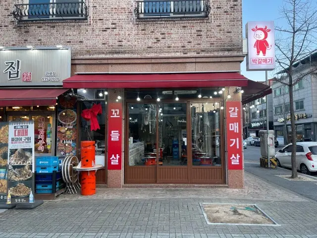 박갈매기 사진 2
