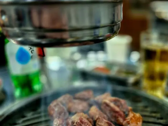 박갈매기 사진 3