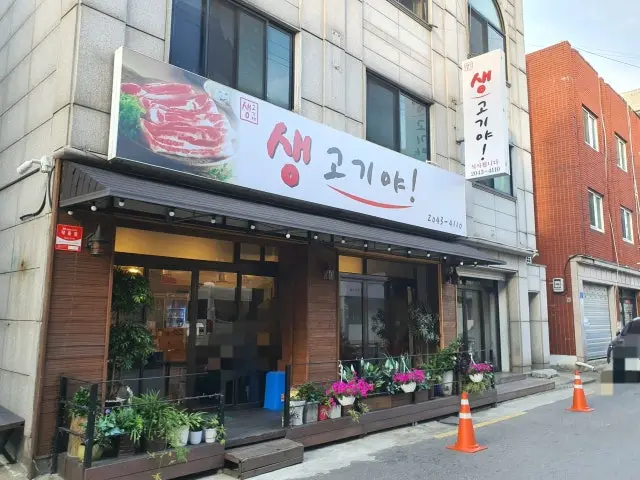 Saenggogiya コスパ焼肉 2