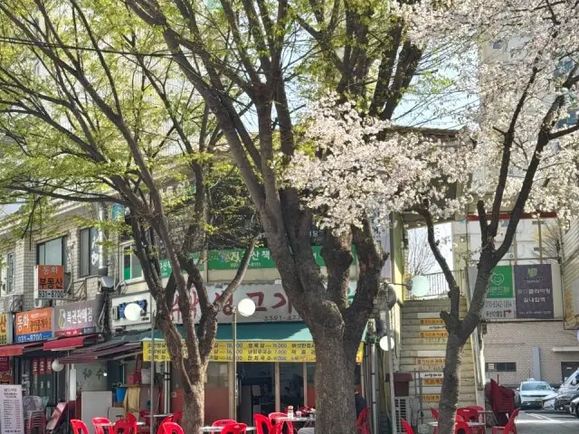 수락생고기마을 가성비 사진 1