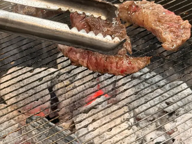 은행나무갈매기 화곡점 사진 3