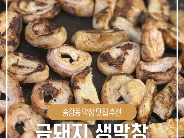 금돼지생막창 사진 3