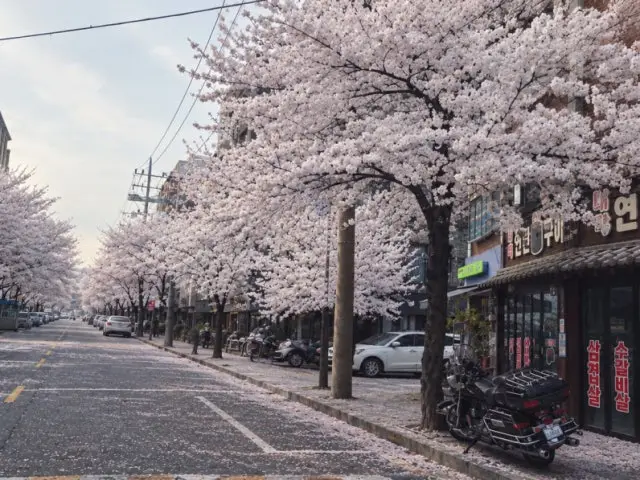 Daebakyeontangui Sinwol店 写真 1