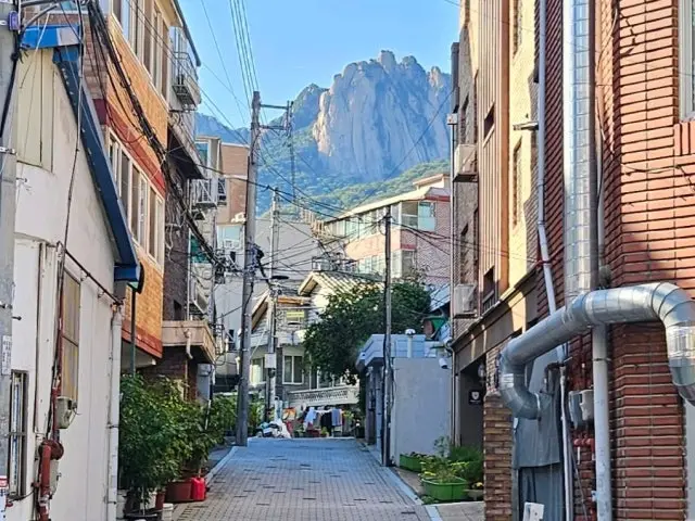 숯불도봉산골 고기집 사진 2