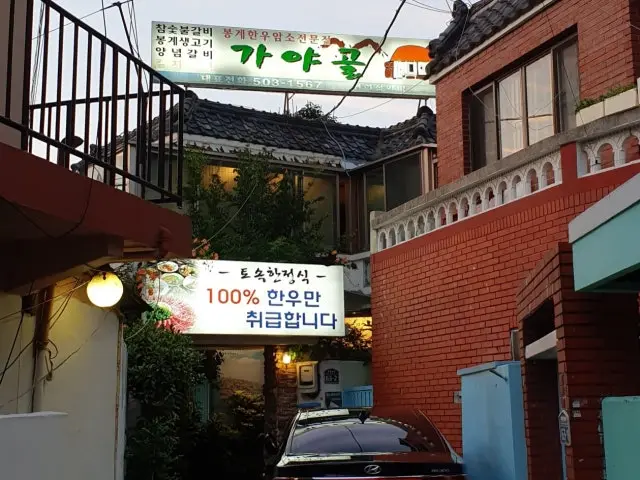 Gayagol Hanwoo (Korean Beef) 2