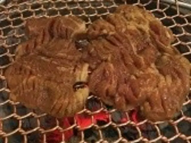 Ppoppaigalbi 照片 1