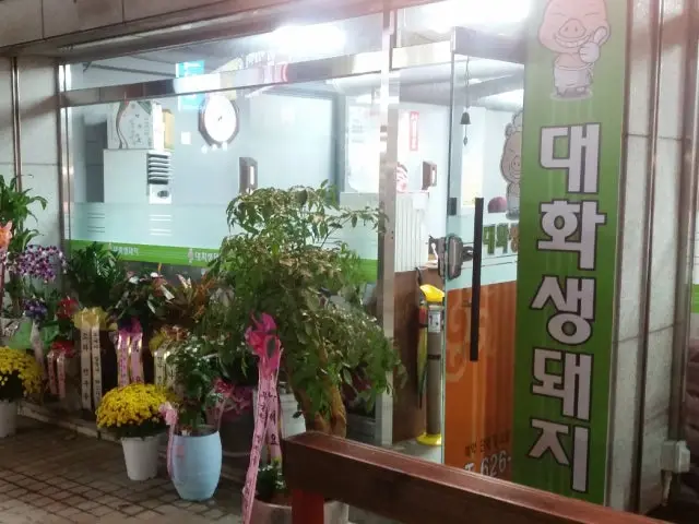 대화생돼지 사진 1