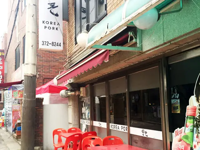 한돈 사진 2