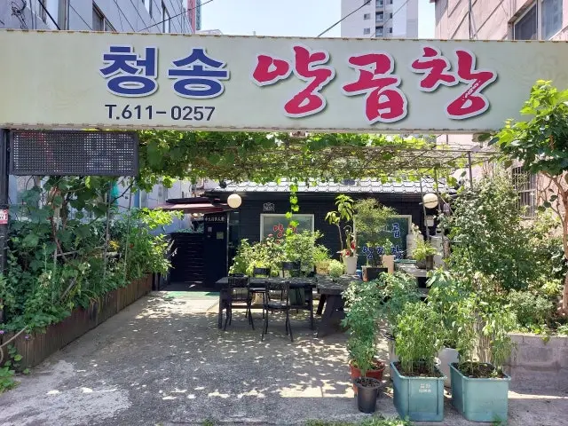 Cheongsongyanggopchang Gopchang (Grilled Intestines) 1