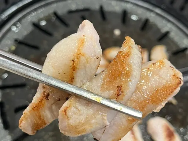 Handonamdwaejijeonmunjeom 照片 3